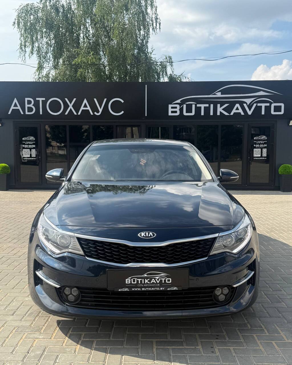  Optima