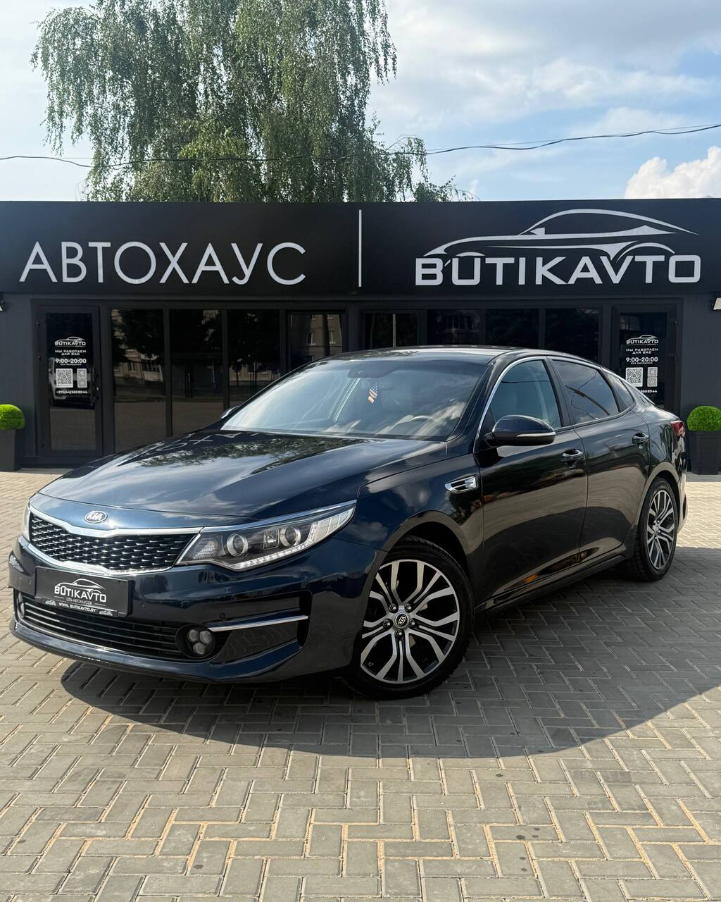  Optima
