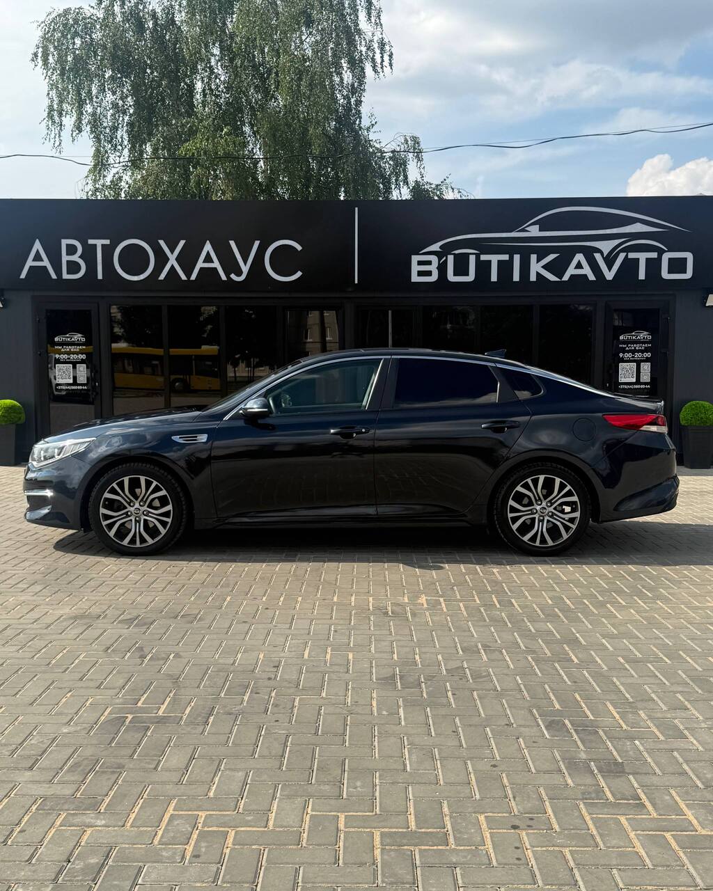  Optima