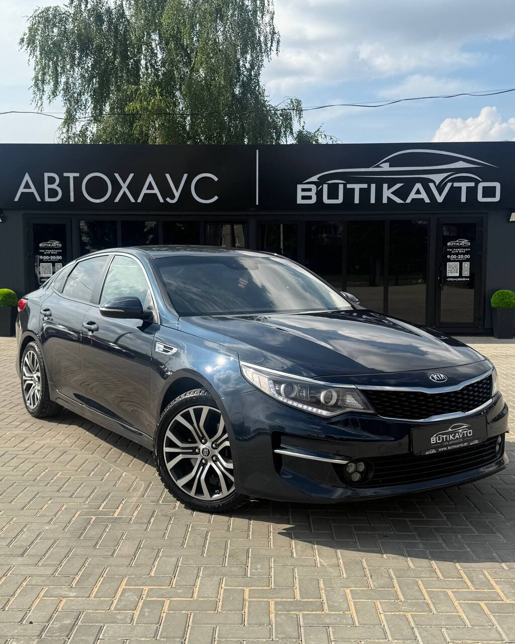  Optima