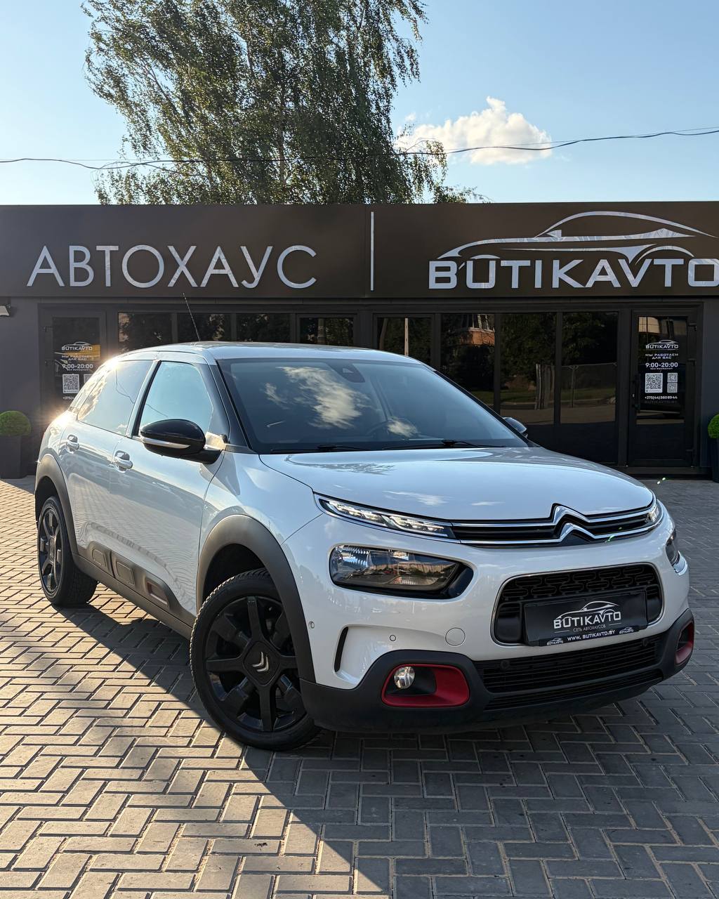  C4 Cactus