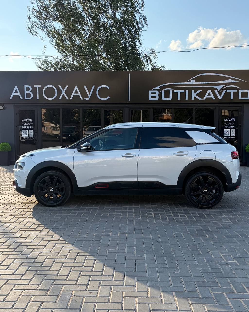  C4 Cactus