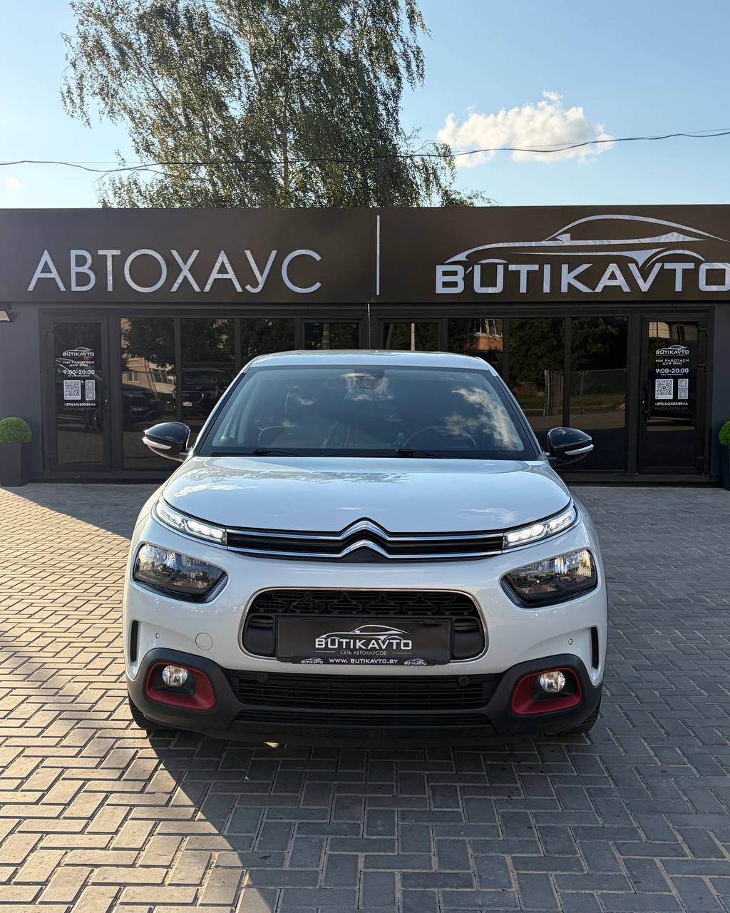  C4 Cactus