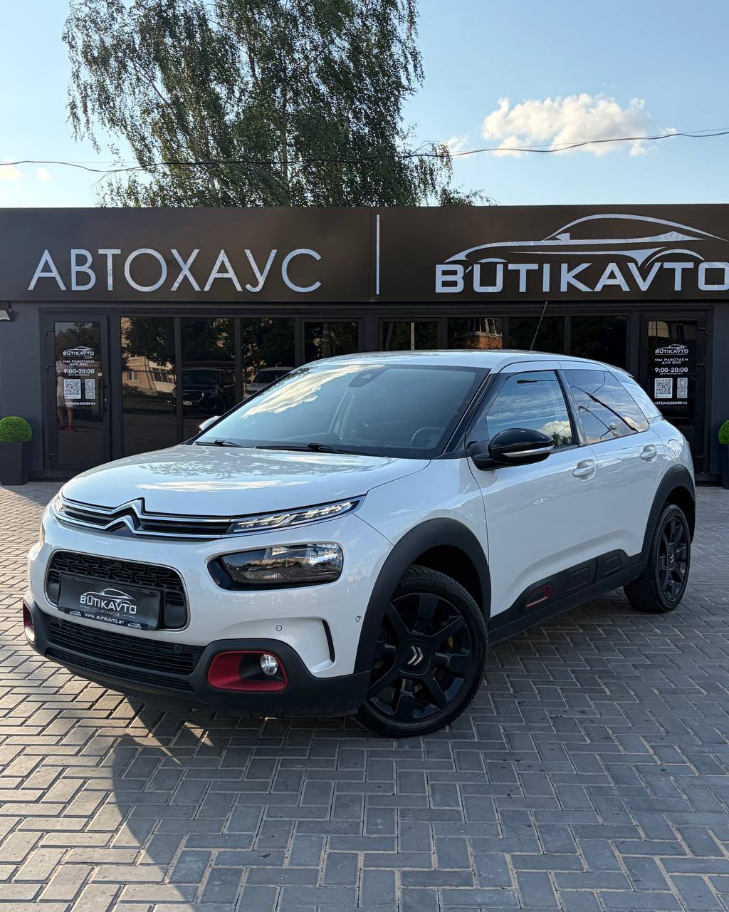  C4 Cactus