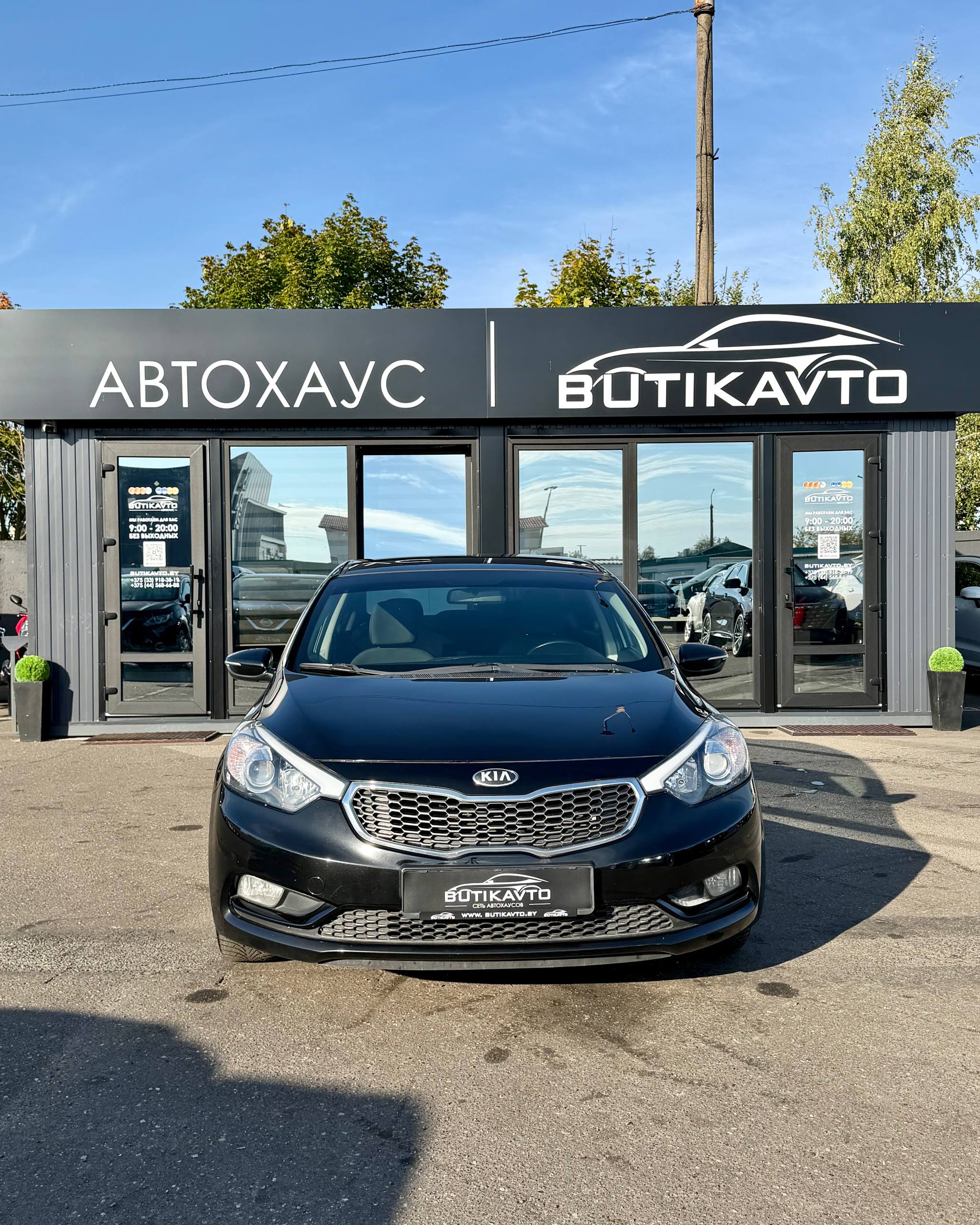  Cerato