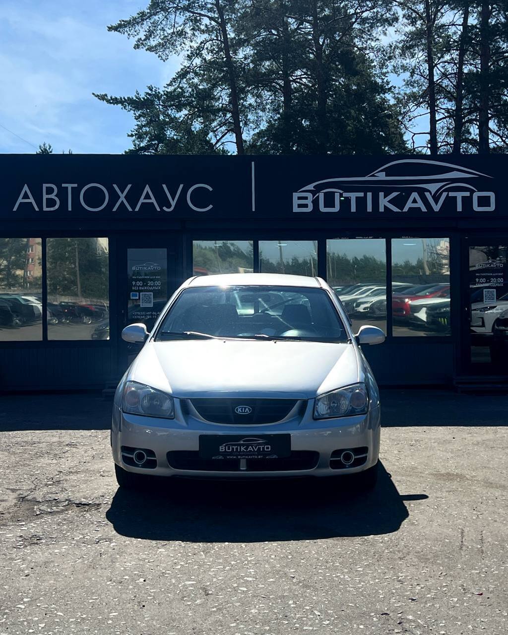  Cerato
