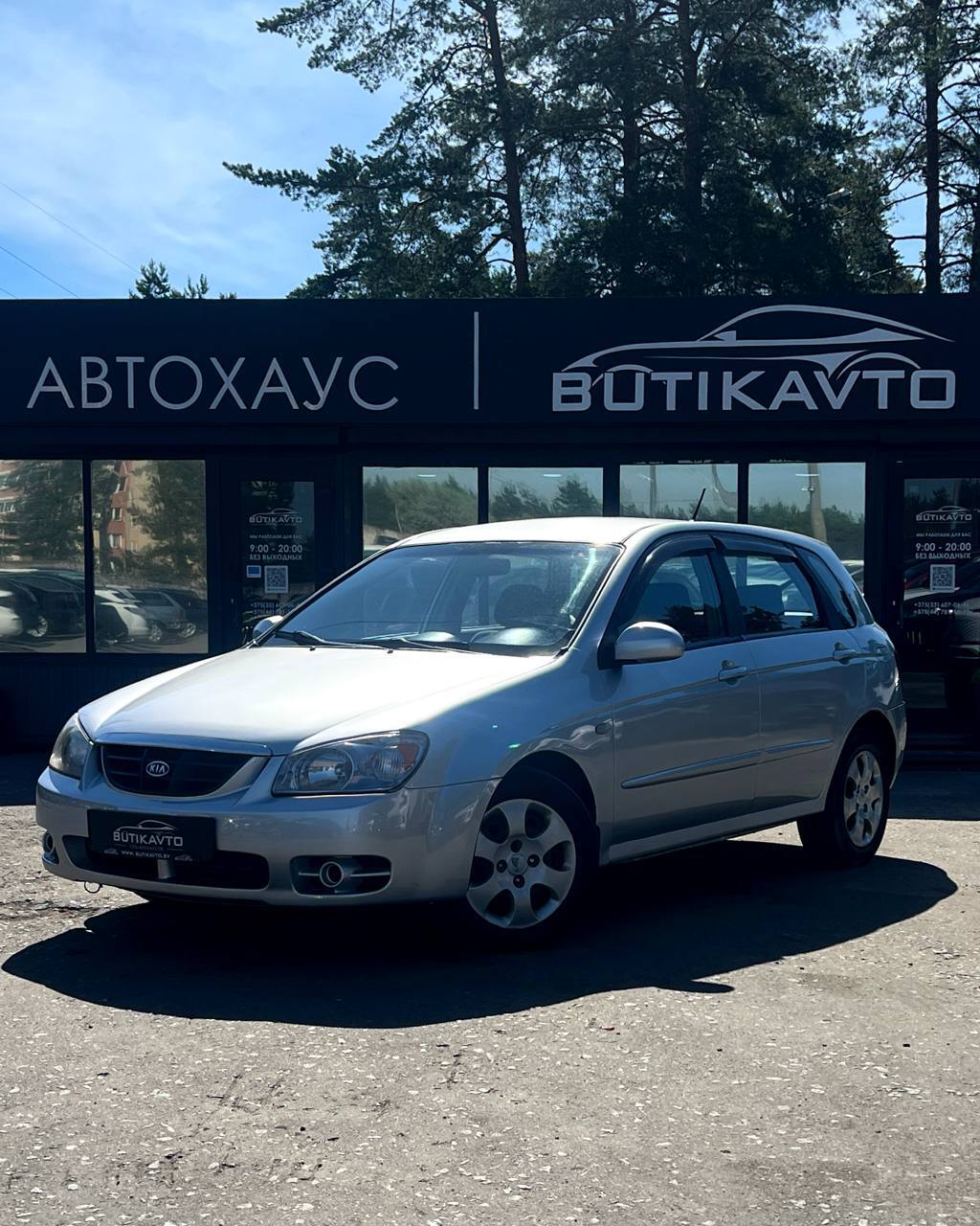  Cerato