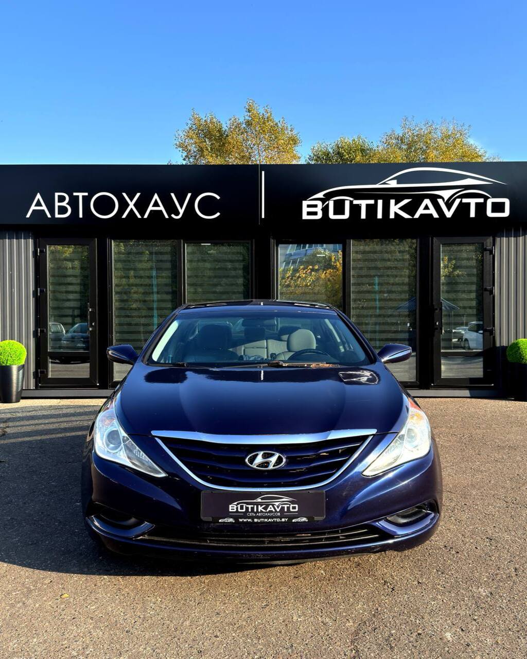  Sonata