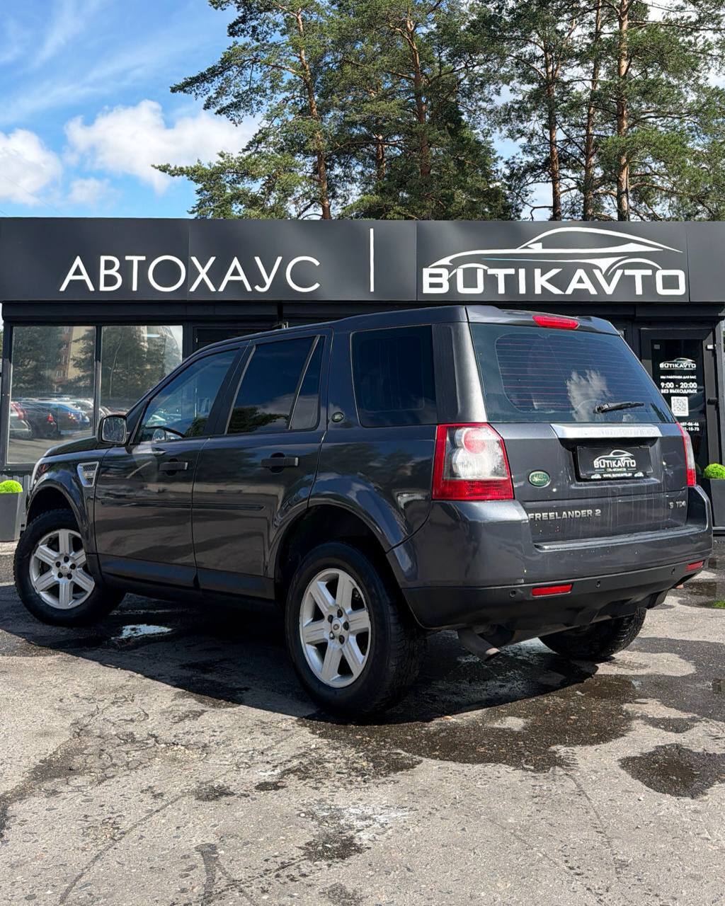  Freelander