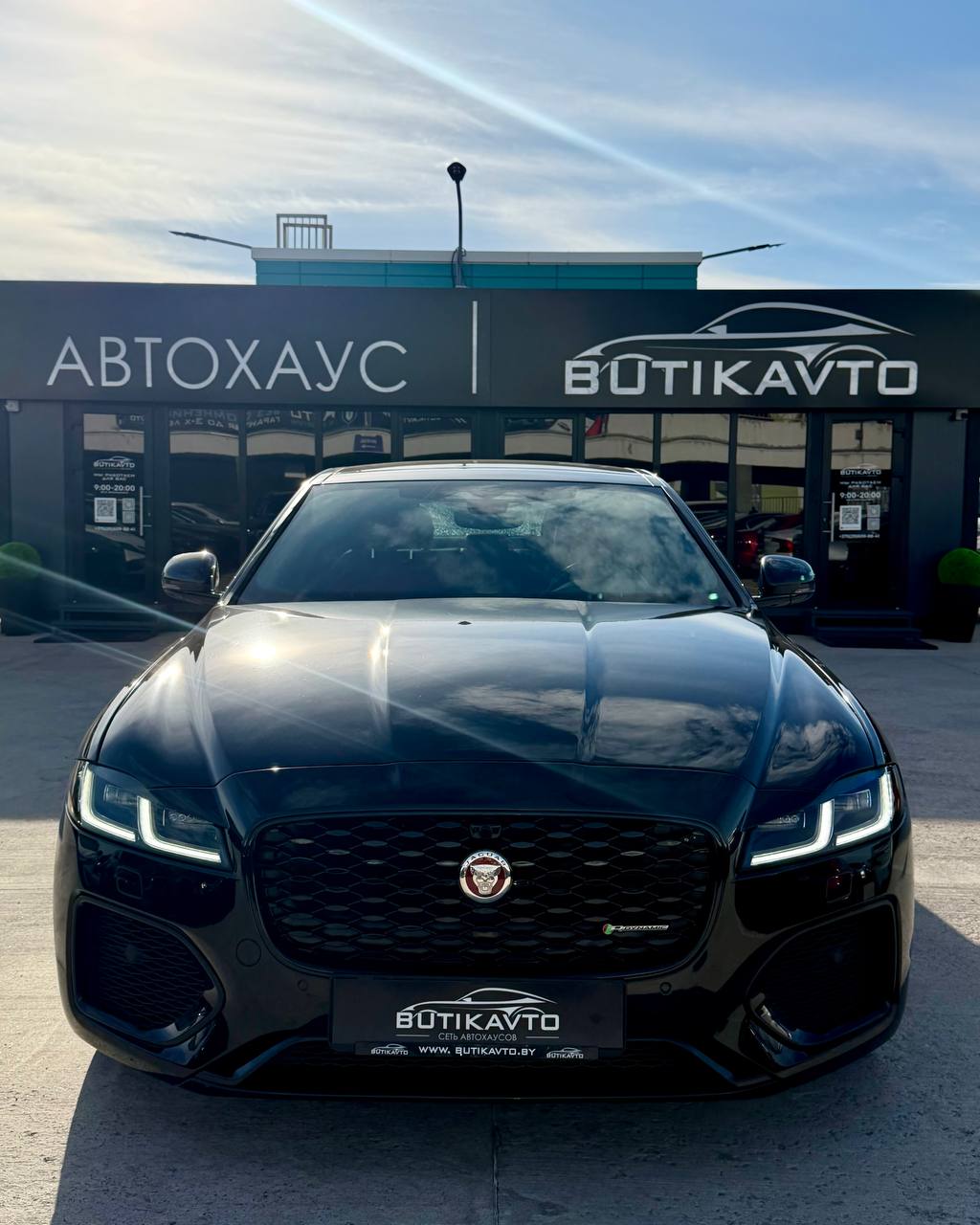  XF