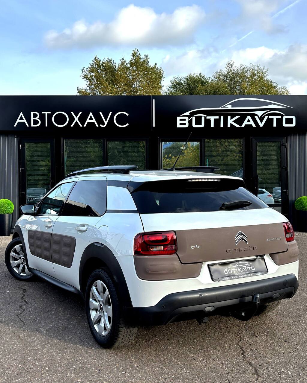  C4 Cactus
