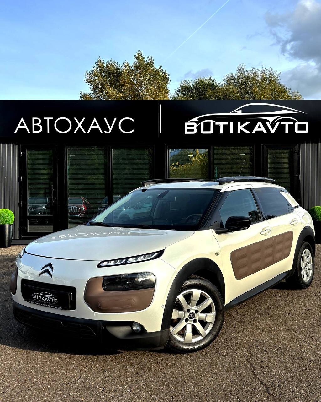  C4 Cactus