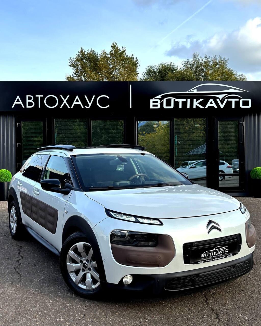  C4 Cactus