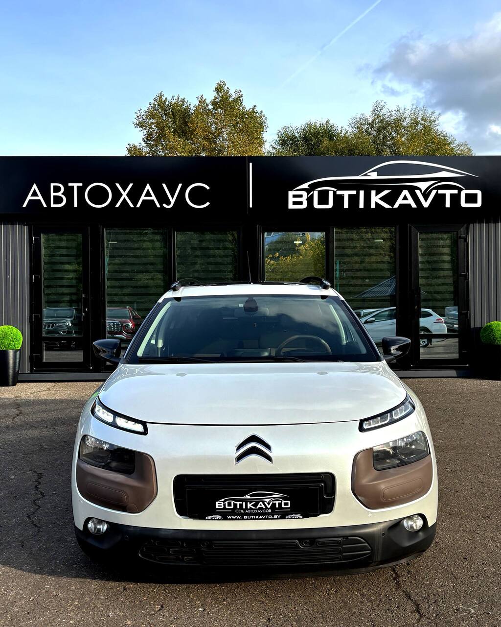  C4 Cactus