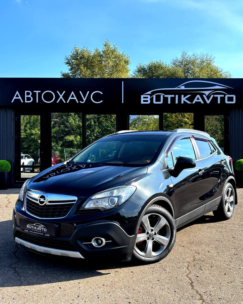  Mokka