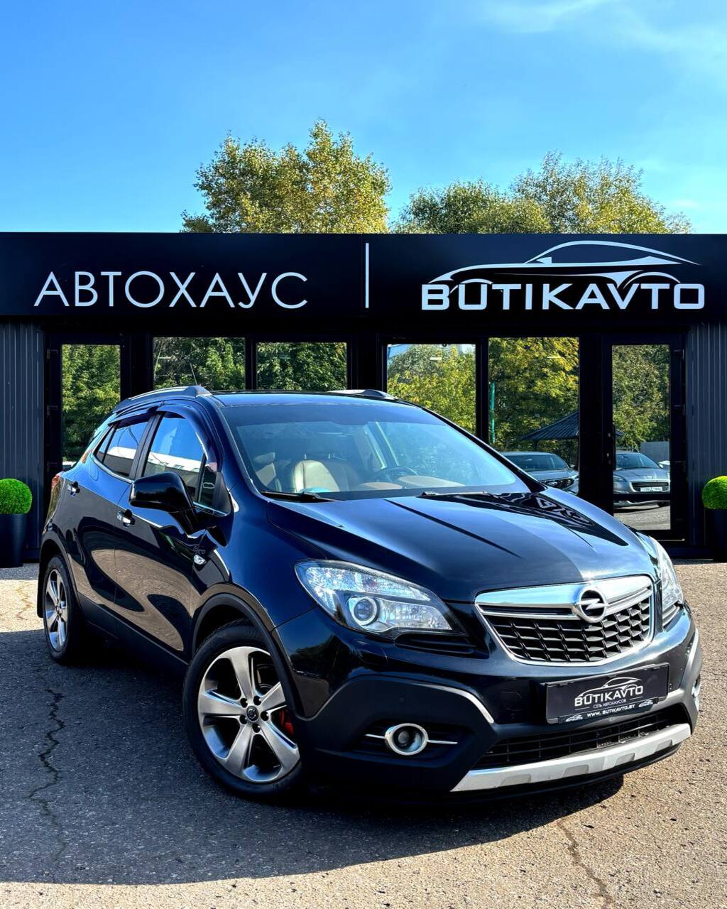  Mokka