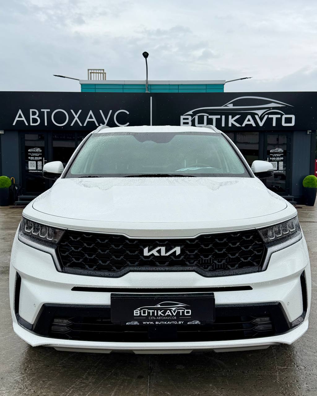  Sorento