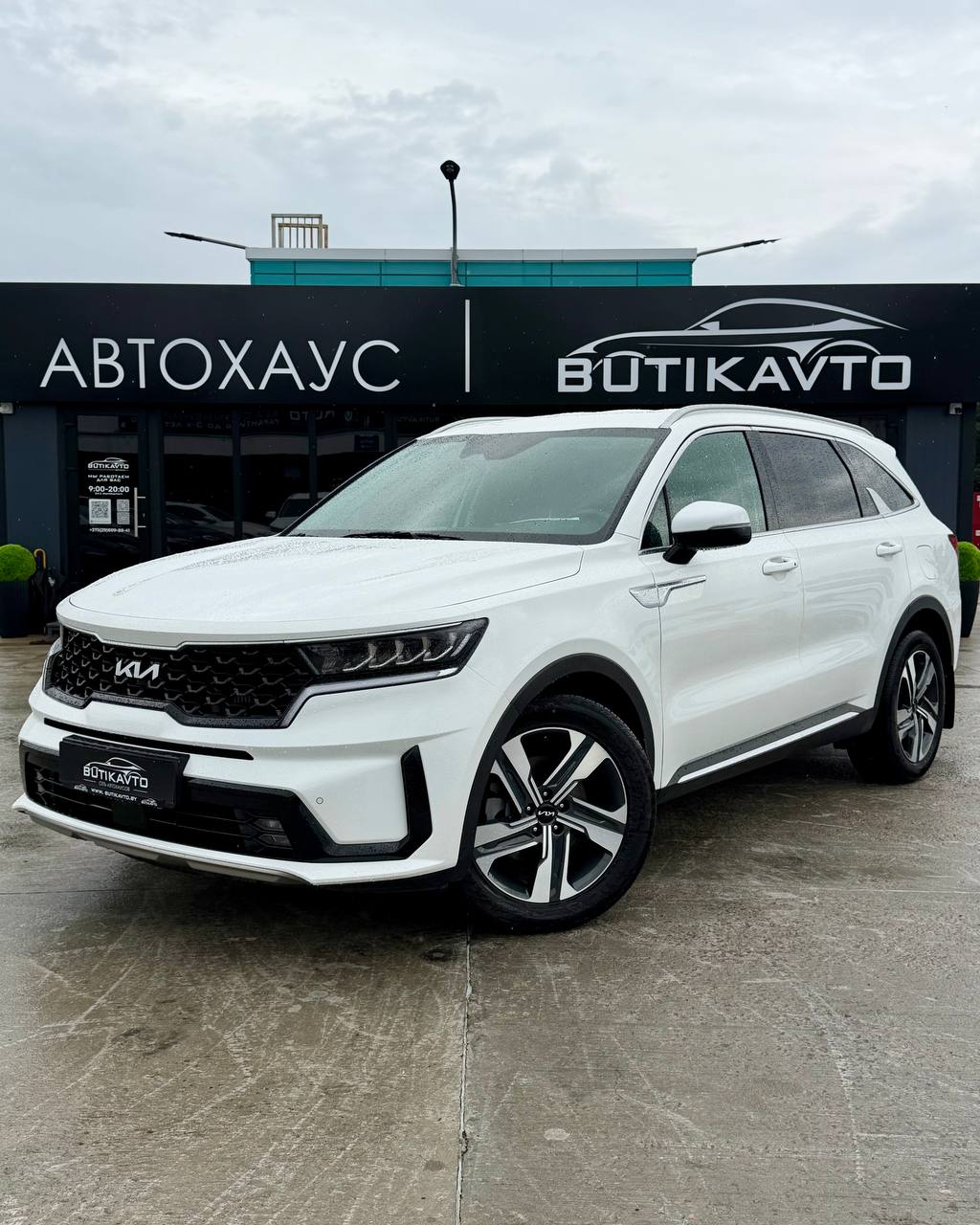  Sorento