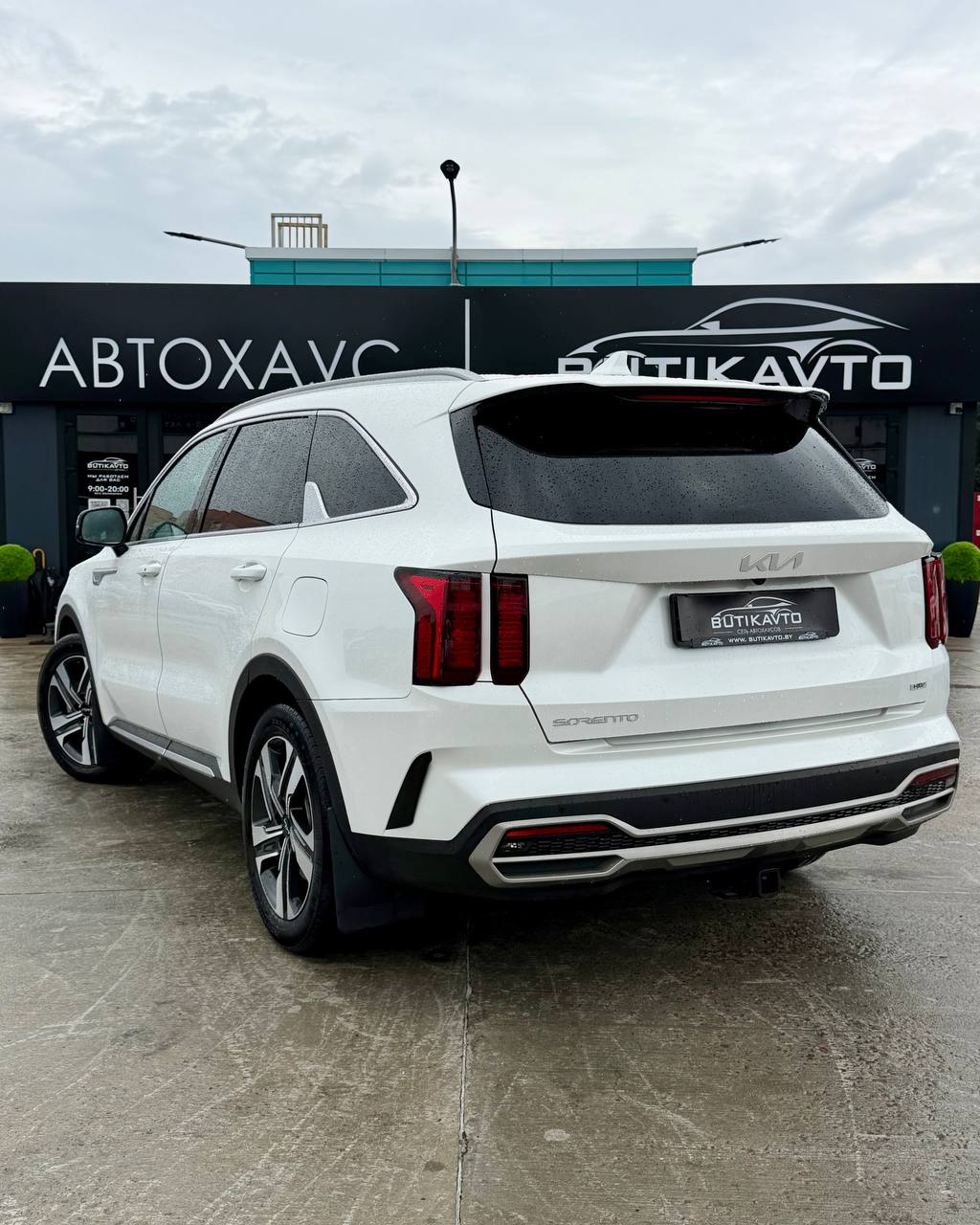  Sorento