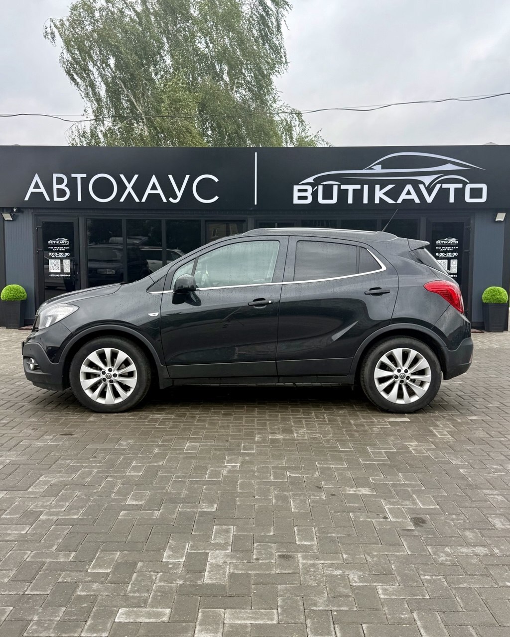  Mokka