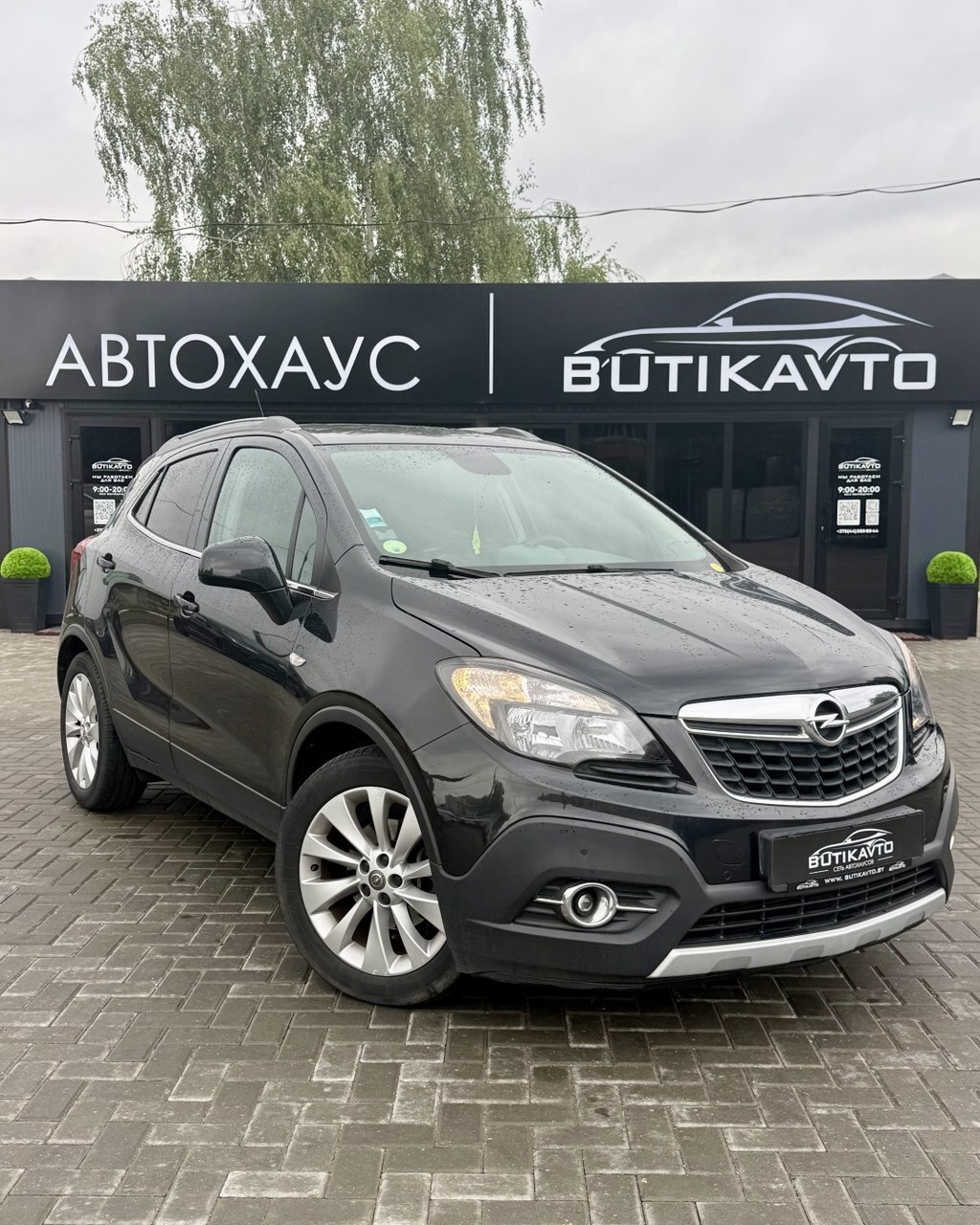  Mokka