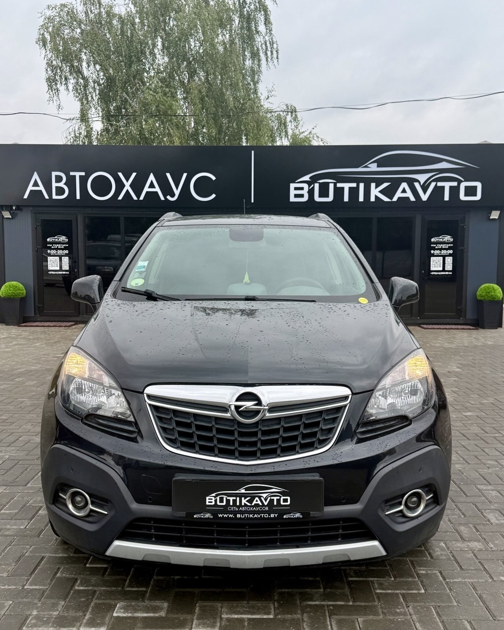  Mokka