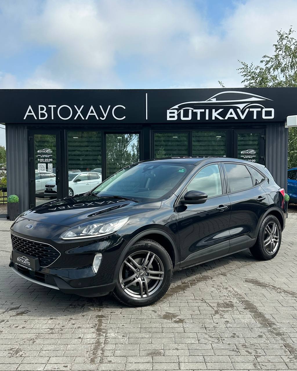  Kuga