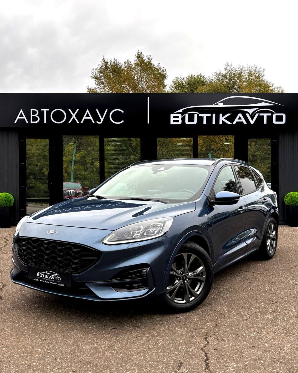  Kuga