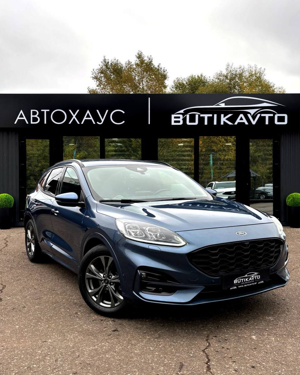  Kuga
