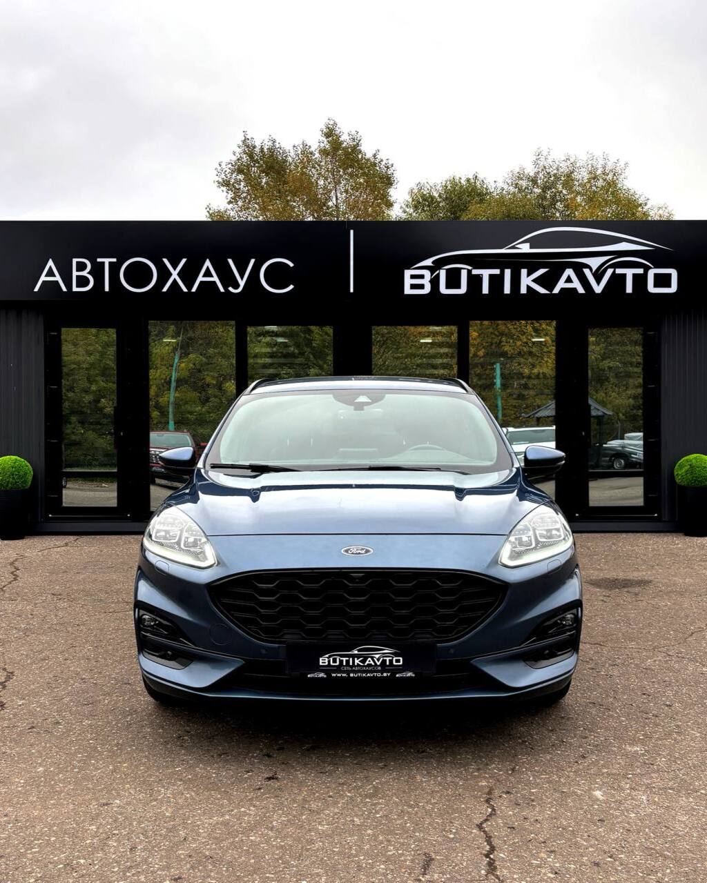  Kuga