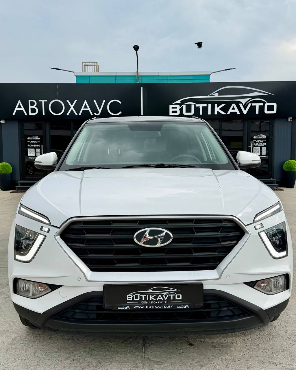  Creta
