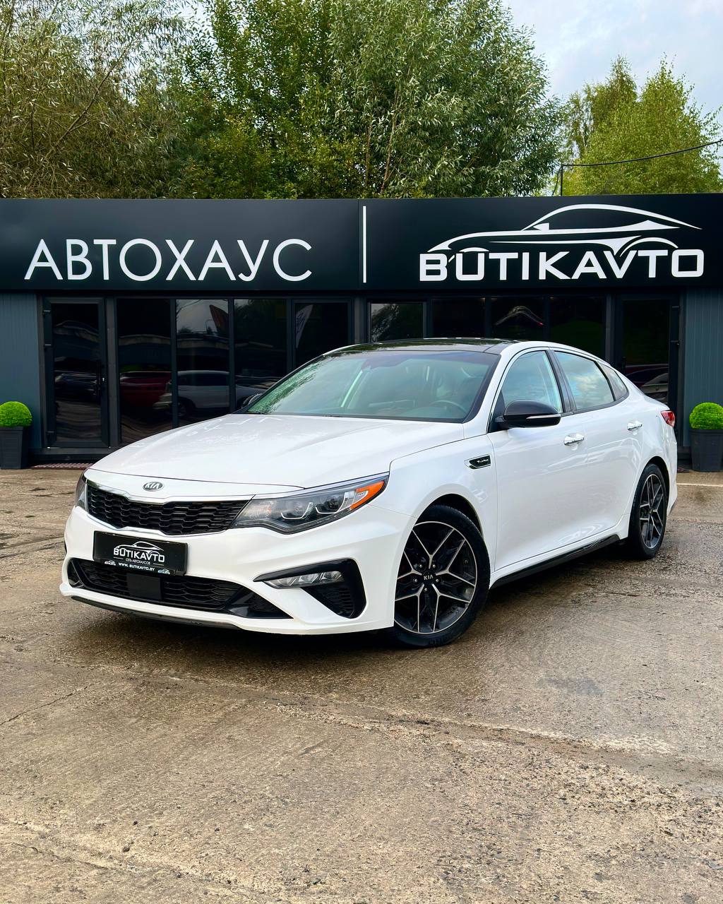  Optima