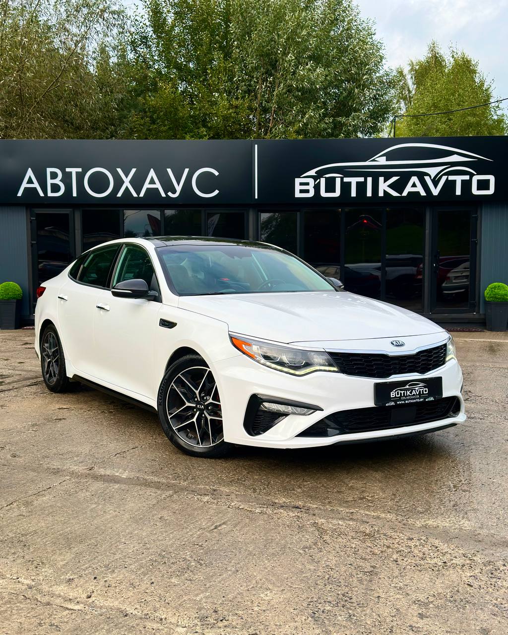  Optima