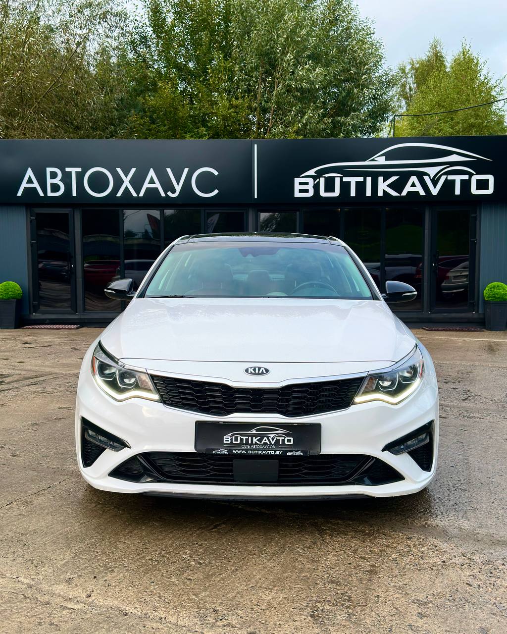  Optima