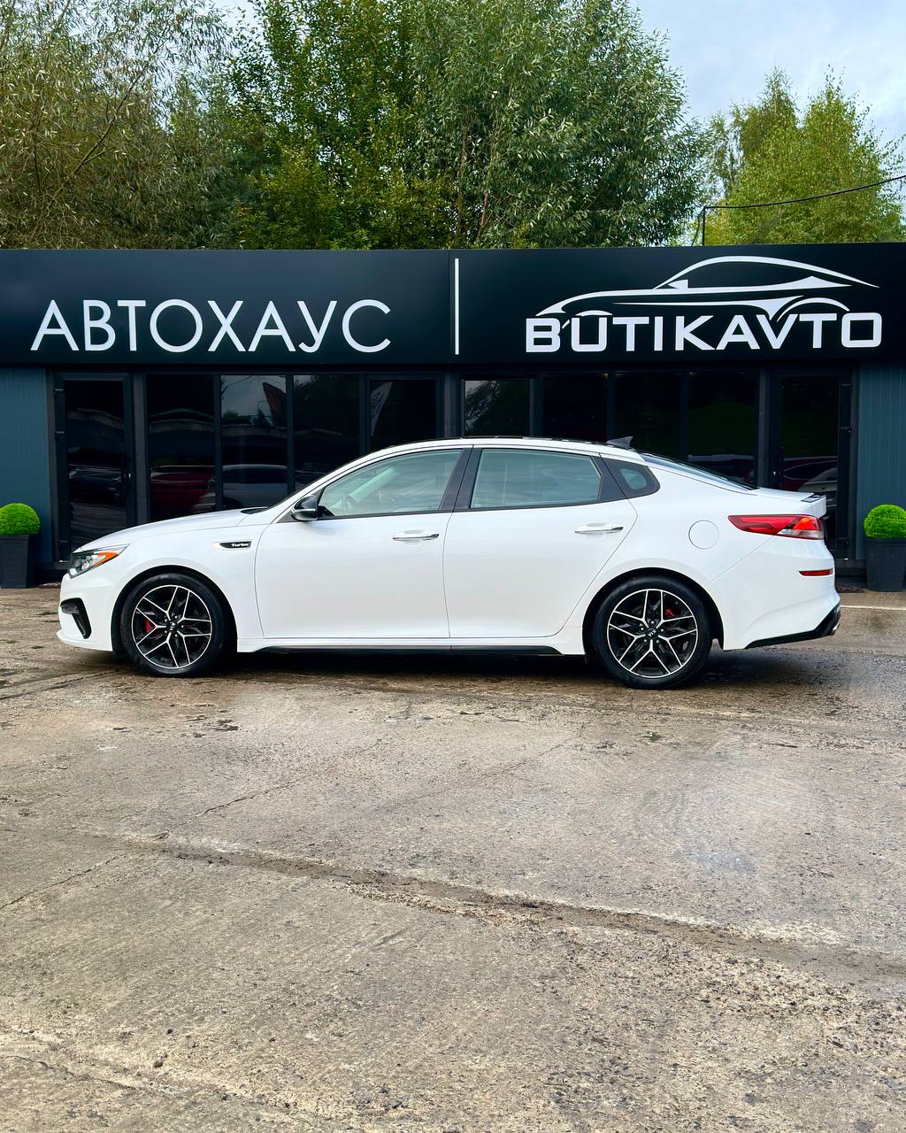  Optima