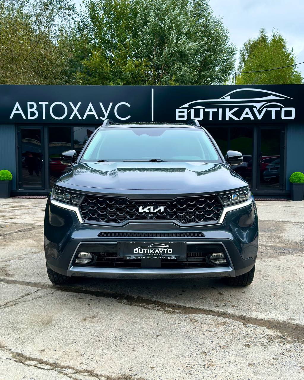  Sorento