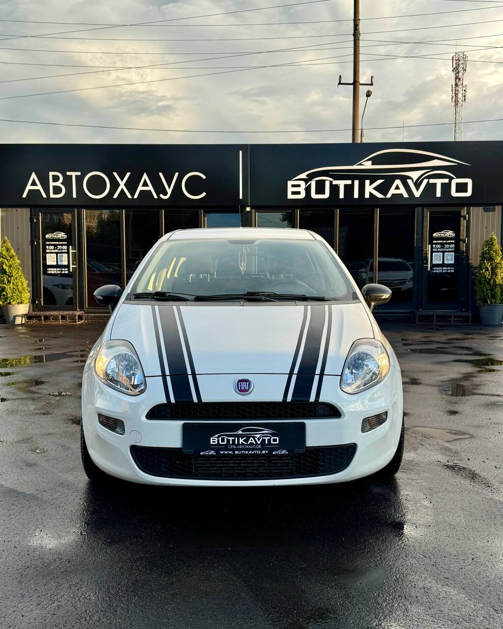  Punto