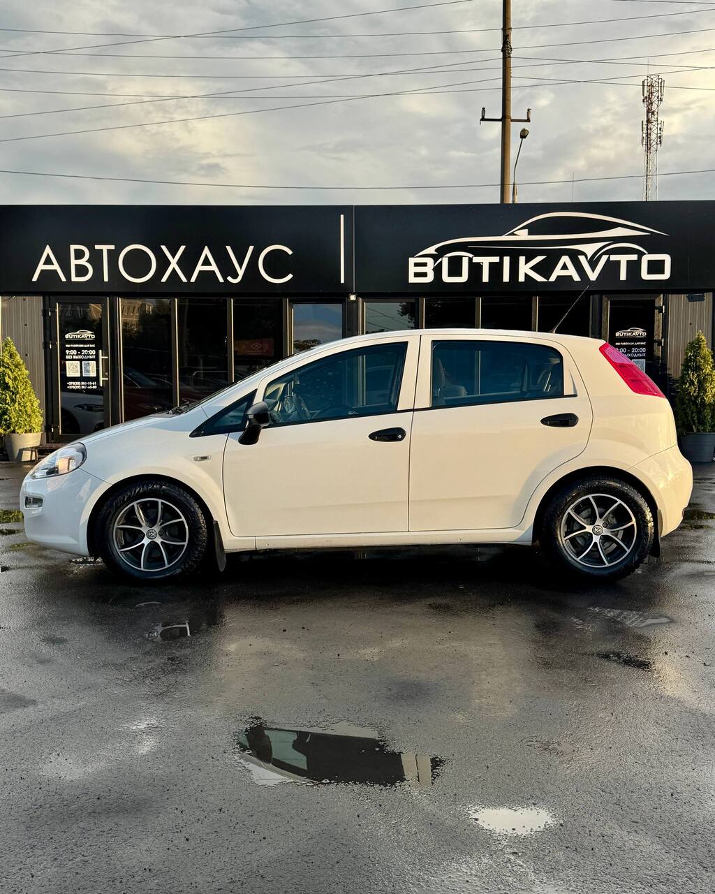  Punto