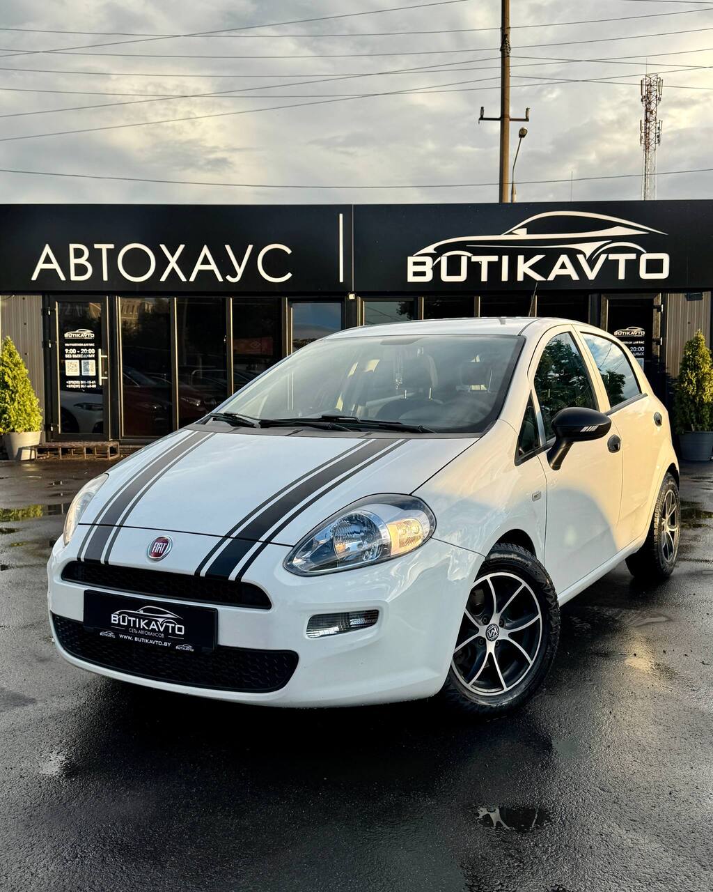  Punto
