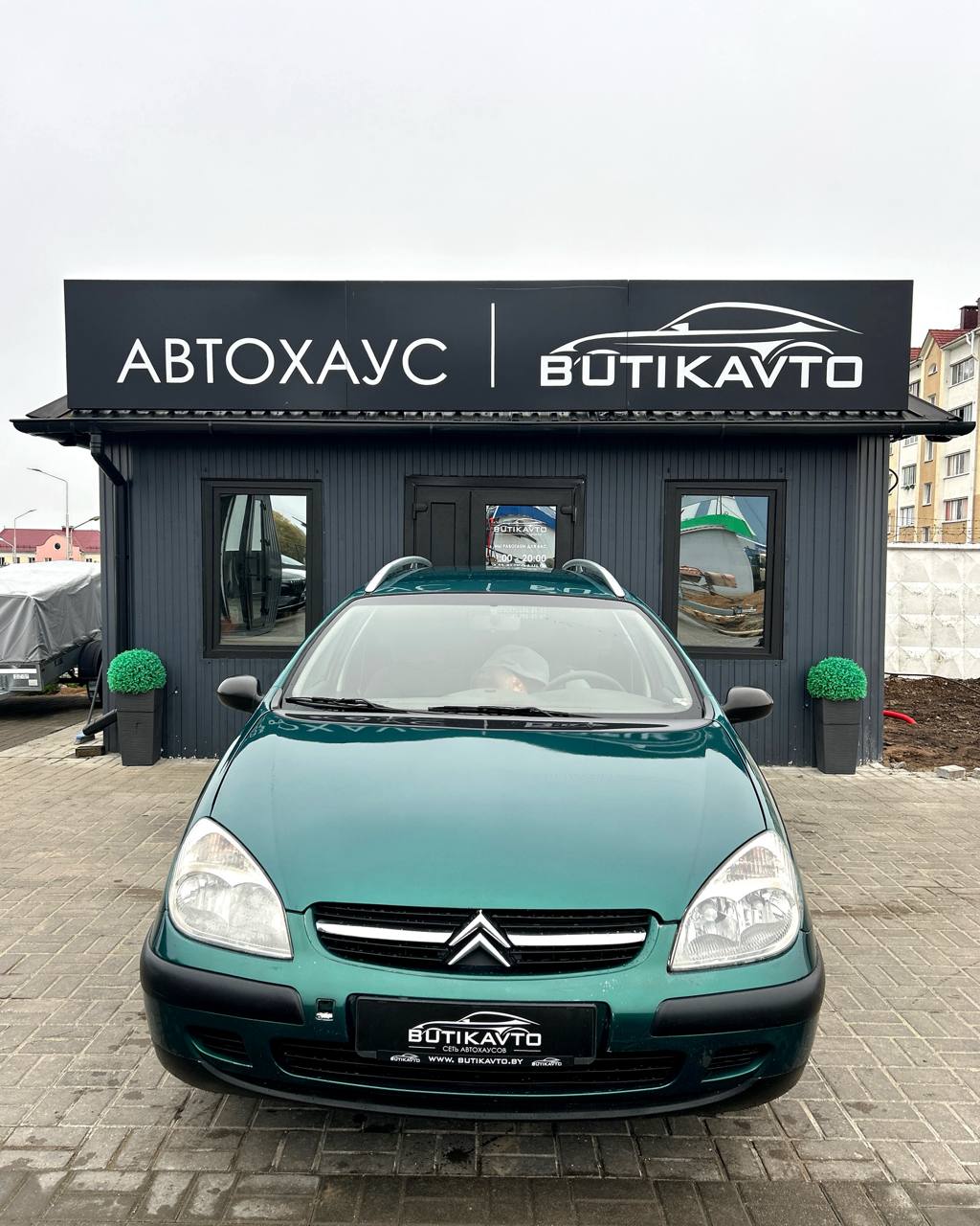  C5