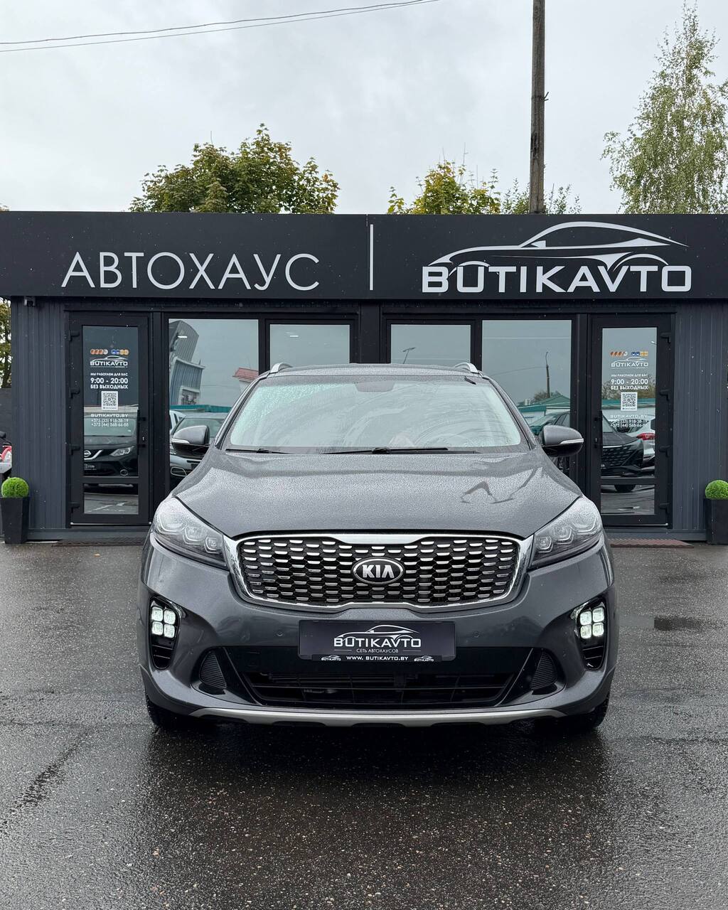  Sorento