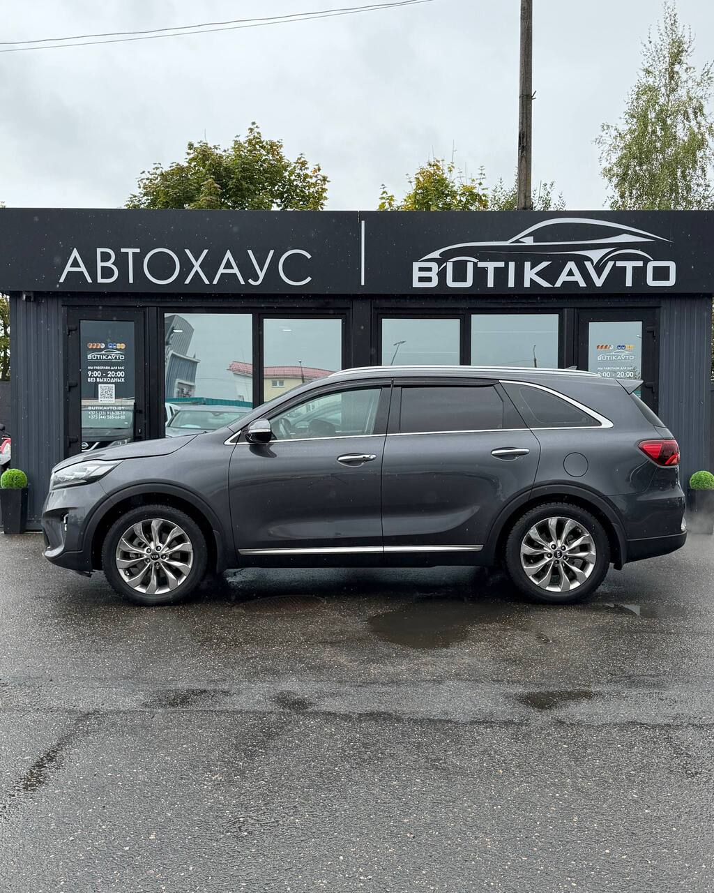  Sorento
