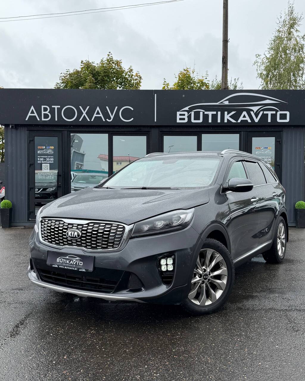  Sorento