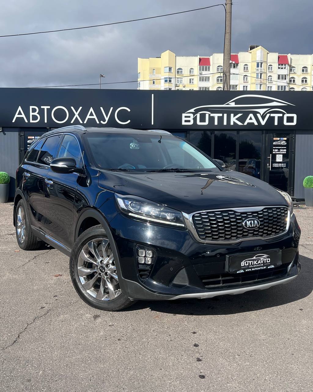  Sorento