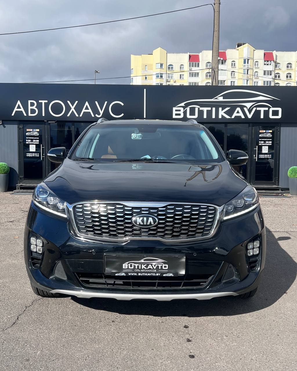  Sorento