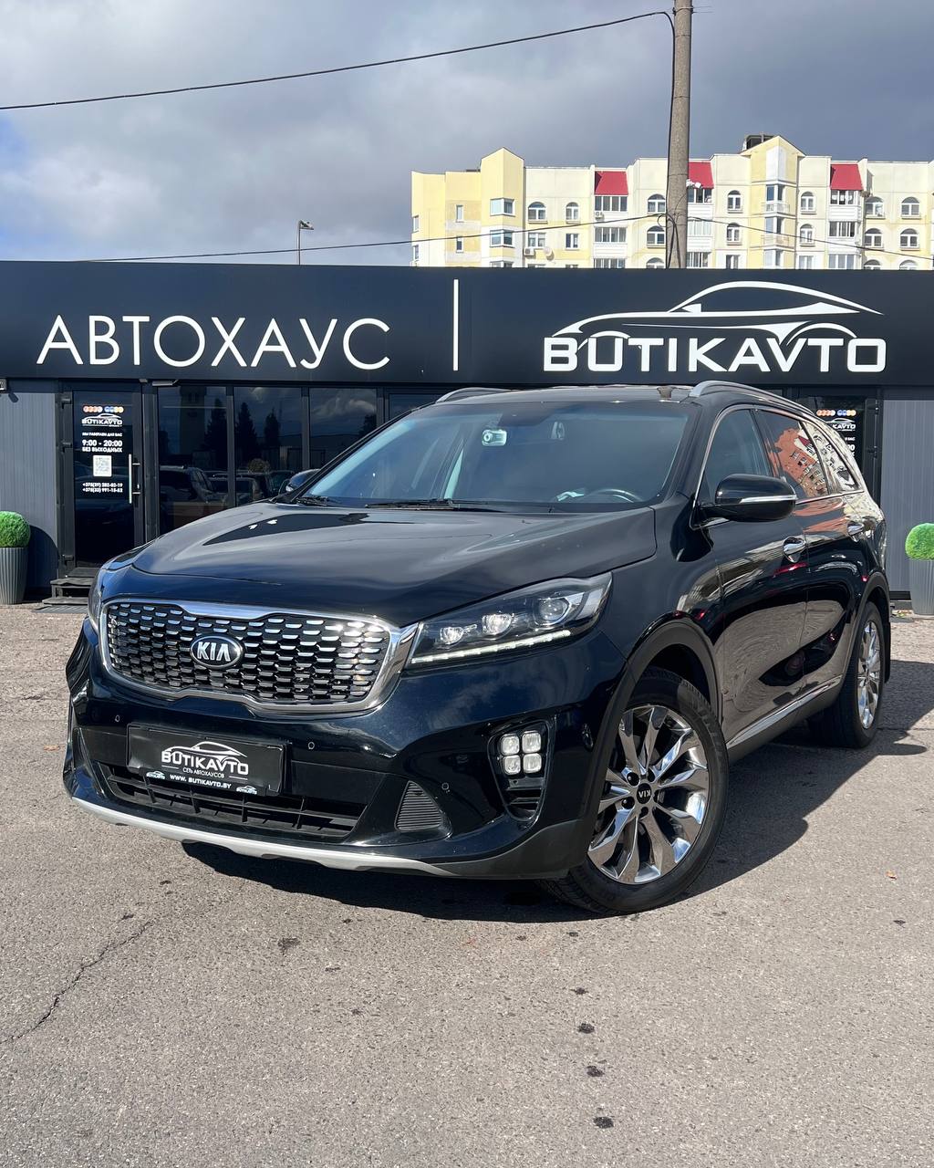  Sorento