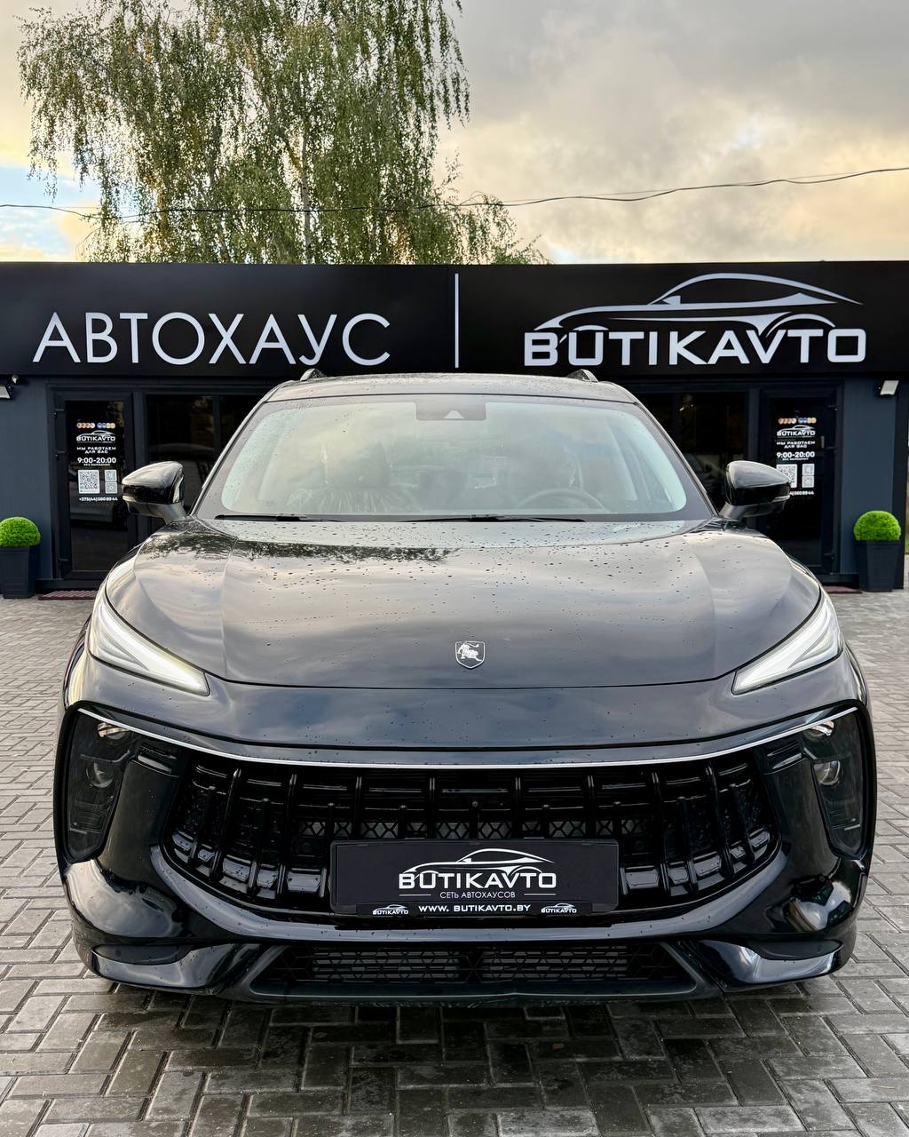  Forthing T5 EVO