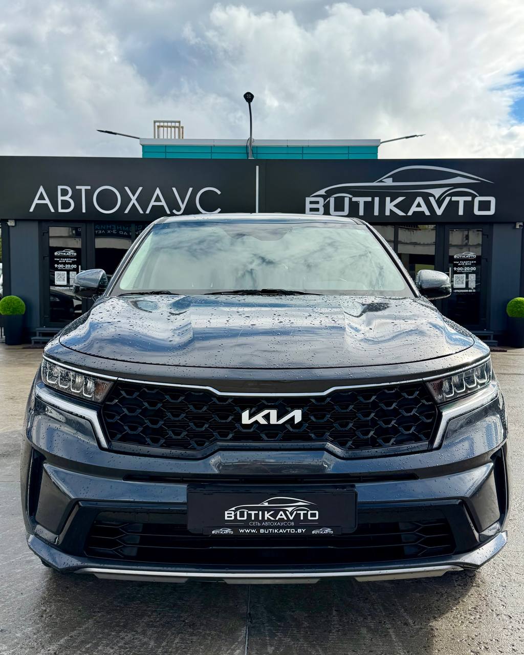  Sorento