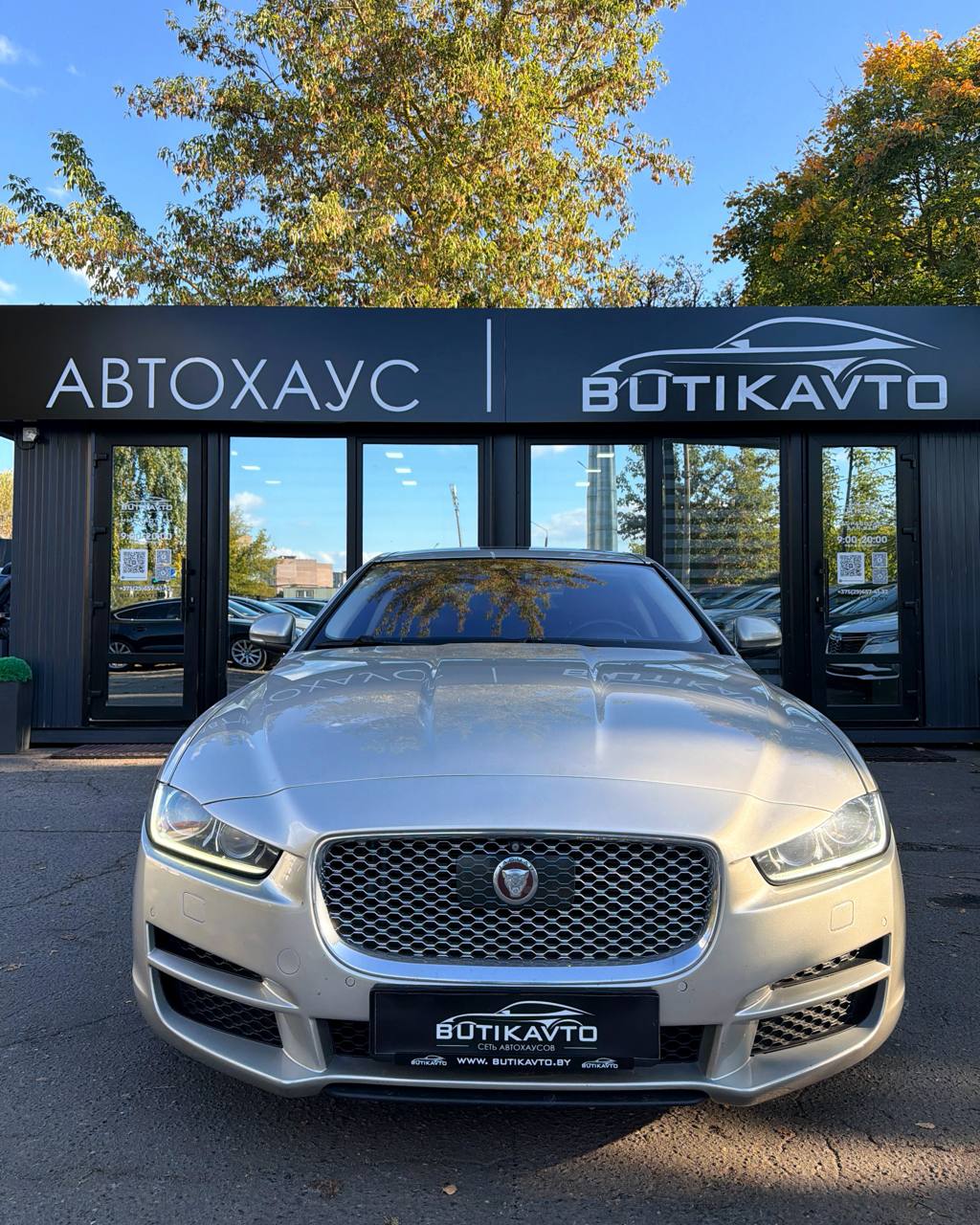  XE