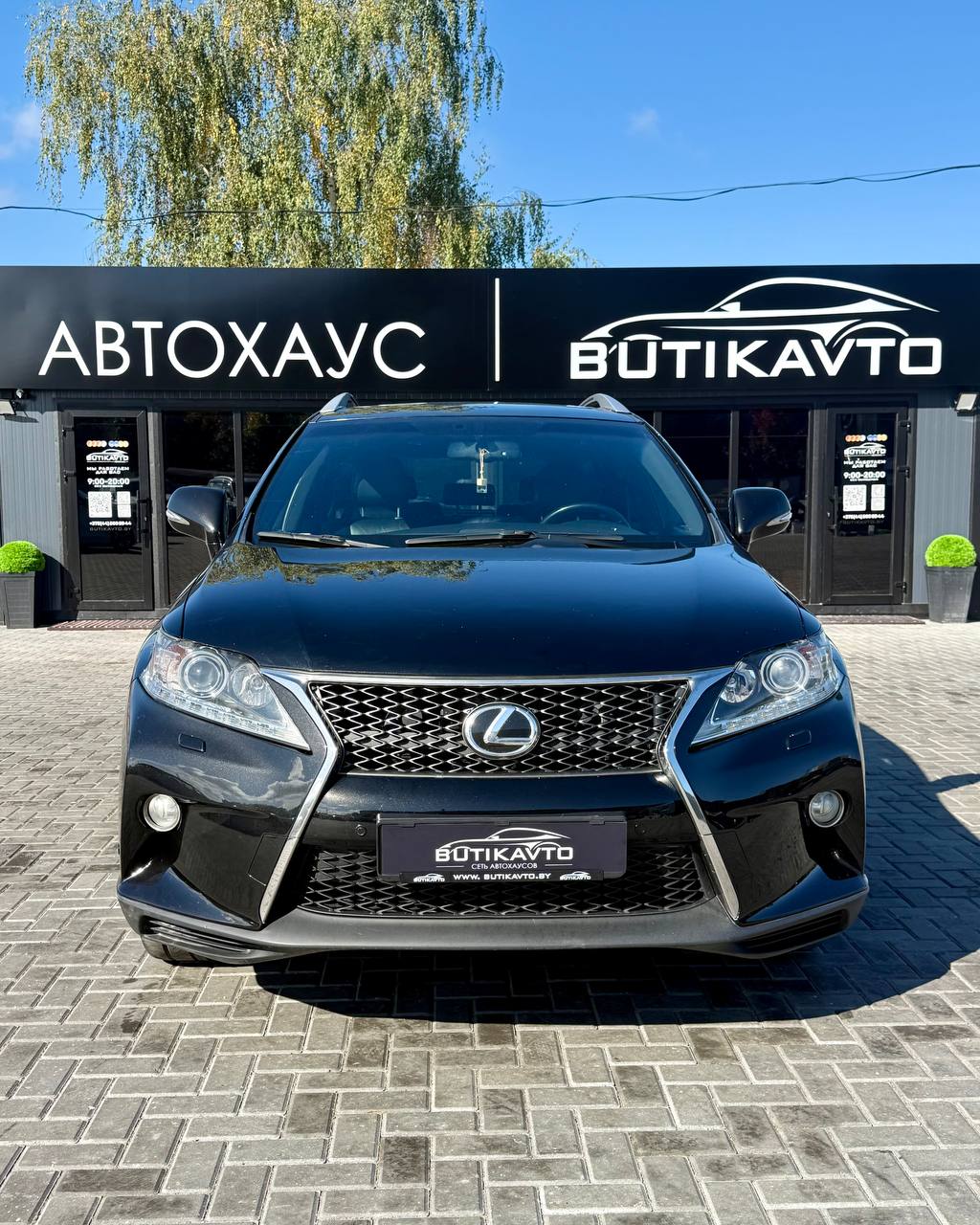  RX